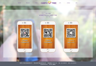 恭賀由硅峰網(wǎng)絡(luò)設(shè)計(jì)開發(fā)的 品牌形象營(yíng)銷官網(wǎng)正式上線運(yùn)營(yíng) 硅峰動(dòng)態(tài) 資訊中心 硅峰網(wǎng)絡(luò) 網(wǎng)站設(shè)計(jì) 軟件開發(fā) 微信建設(shè),西安最專業(yè)的企業(yè)信息化建設(shè)網(wǎng)絡(luò)公司